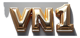 vn1 logo